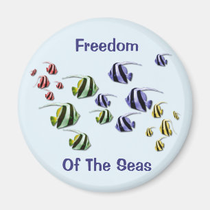 Färgrik tropisk fisk som simmar den fria magneten magnet