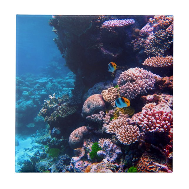 Färgrik tropisk korallrev kakelplatta (Framsidan)