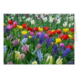 Färgrik vårblomsterträdgård hälsningskort