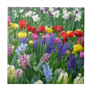 Färgrik vårblomsterträdgård kakelplatta