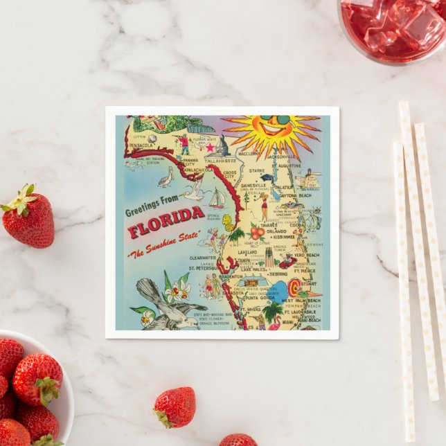 Färgrik Vintage Florida Karta Pappersservett (Insitu)