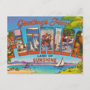 Färgrik Vintage Florida Vykort