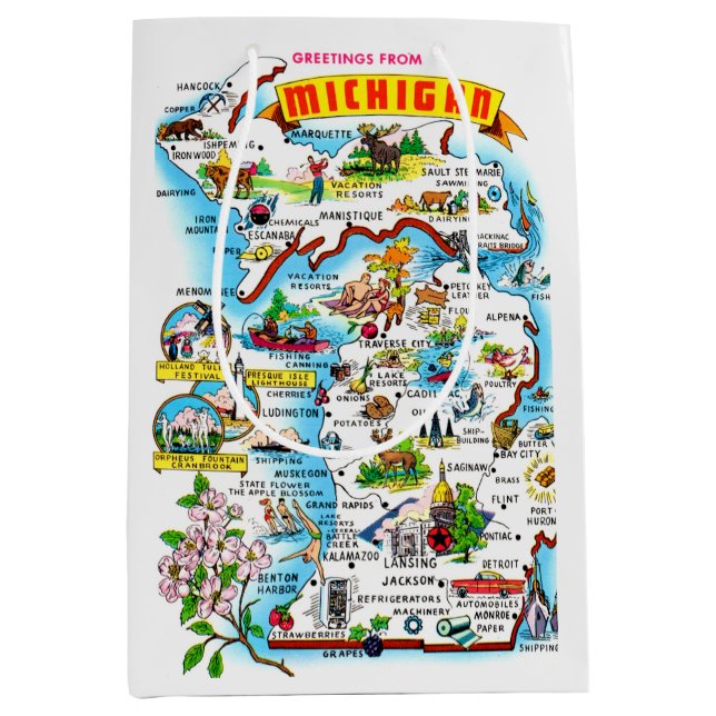 Färgrik Vintage Michigan Karta  (Framsidan)