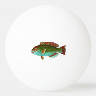 Färgrik vintagefisk pingisboll
