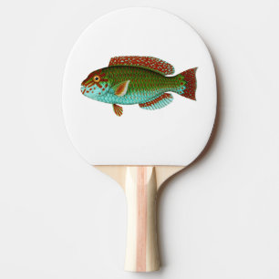 Färgrik vintagefisk pingisracket
