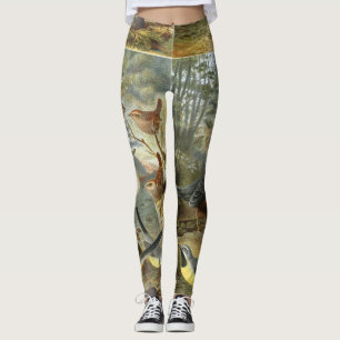 Färgrik vintageillustration av fåglar leggings
