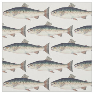 Färgrik vintagelaxillustration tyg
