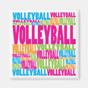 Färgrik volleyboll magnet