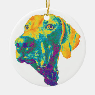 Färgrik weimaranerprydnad julgransprydnad keramik