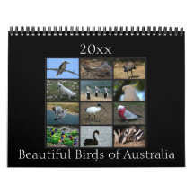 Färgrika australiensiska fåglar