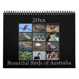 Färgrika australiensiska fåglar kalender