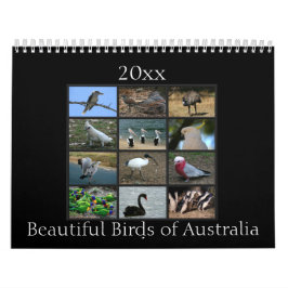 Färgrika australiensiska fåglar kalender
