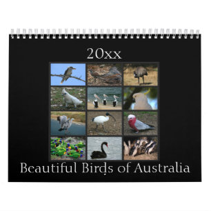 Färgrika australiensiska fåglar kalender