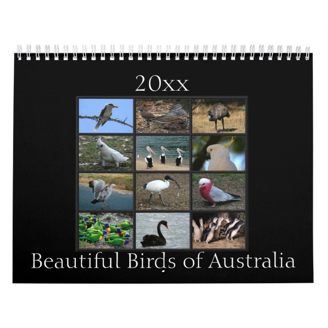 Färgrika australiensiska fåglar kalender (Omslag)