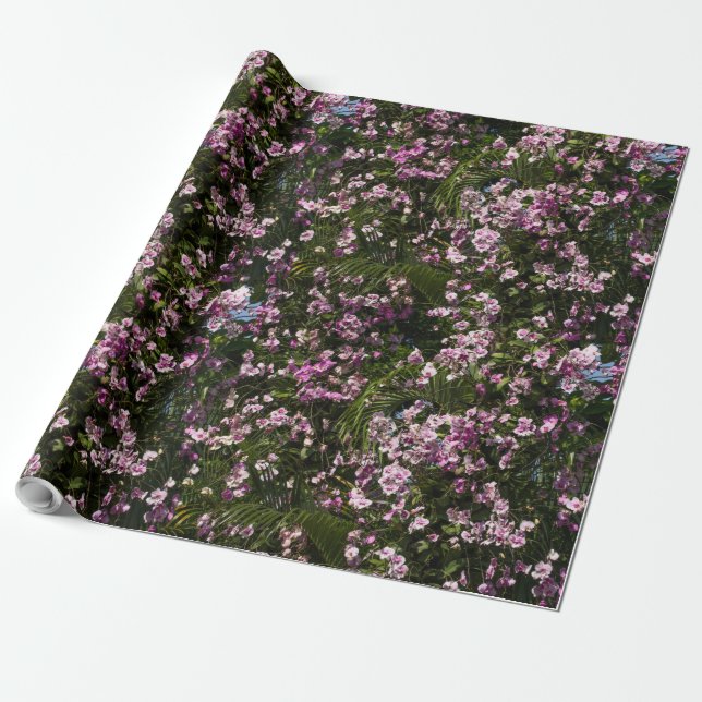 Färgrika blommaOrchids i blommar Presentpapper (Utrullad)
