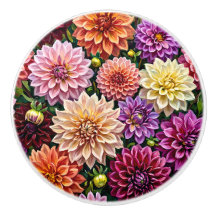 Färgrika Dahlia Blommor
