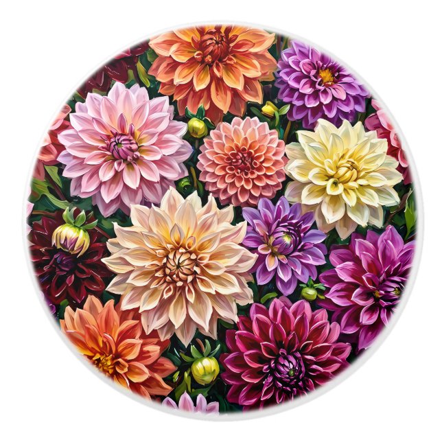 Färgrika Dahlia Blommor Knopp (Framsidan)