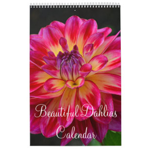 Färgrika dahliablommor kalender