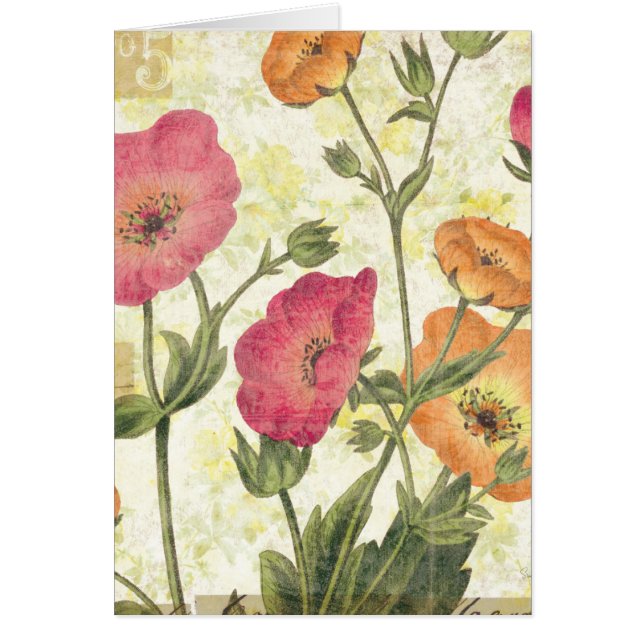 Färgrika daisy hälsningskort (Framsidan)