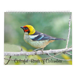 Färgrika fåglar av Colombia Kalender