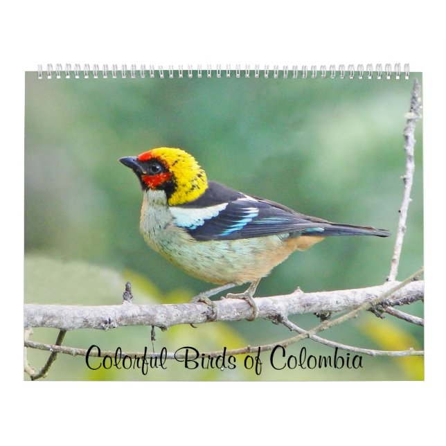 Färgrika fåglar av Colombia Kalender (Omslag)