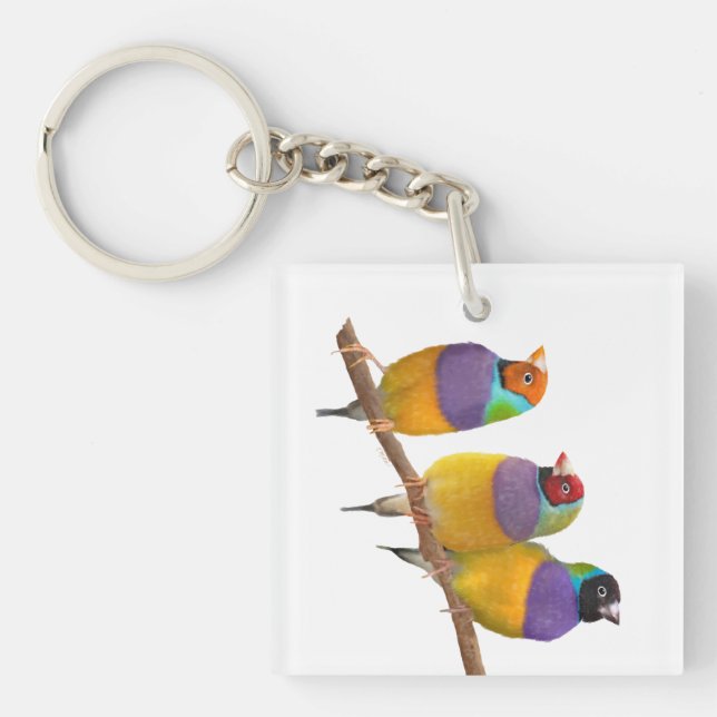 Färgrika Gouldian Finches i pastell (Framsidan)