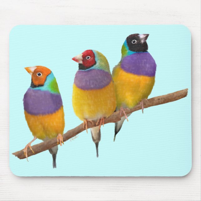 Färgrika Gouldian Finches i pastell Musmatta (Framsidan)