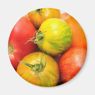 Färgrika Heirloomtomater Magnet