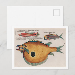 Färgrika och surrealistiska illustrationer av fisk vykort