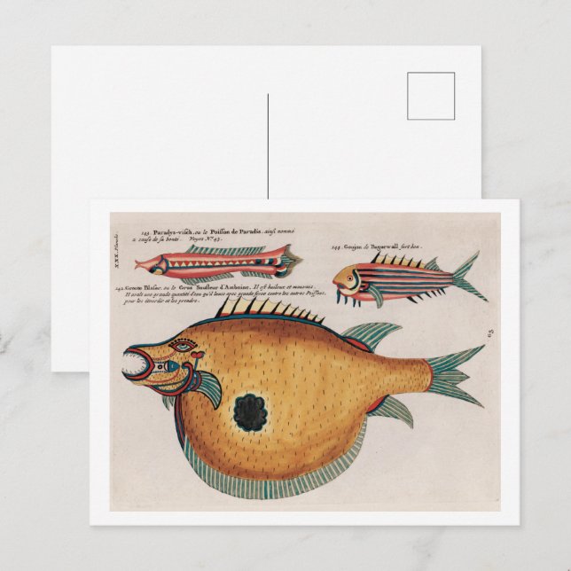 Färgrika och surrealistiska illustrationer av fisk vykort (Fram/baksida)