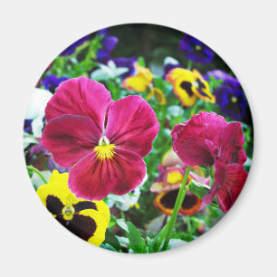 Färgrika Pansies Magnet