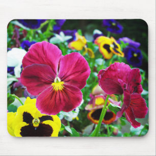 Färgrika Pansies Musmatta