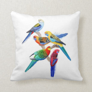 Färgrika Rosella papegojor kudder Kudde