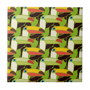 Färgrika Toucans Kakelplatta