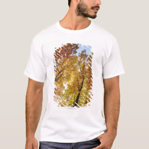 Färgrika träd t-shirt