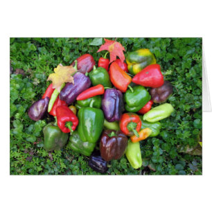Färgrika Veggies och Maple Löv Hälsningskort
