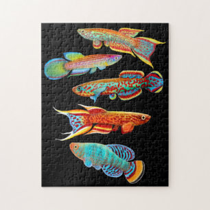 Färgrikt akvariumKillifishpussel Pussel