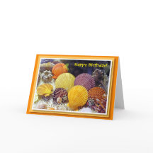 Färgrikt snäckafödelsedagkort