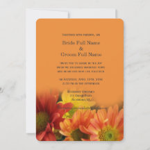 Färgröd, gult, orange daisy blommor bröllop