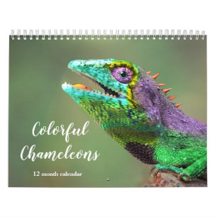 Färgscheleons 2026 kalender
