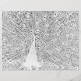 Färgsida - bock med konserverad Svan