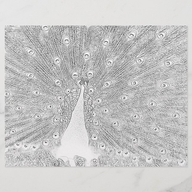 Färgsida - bock med konserverad Svan (Framsida)