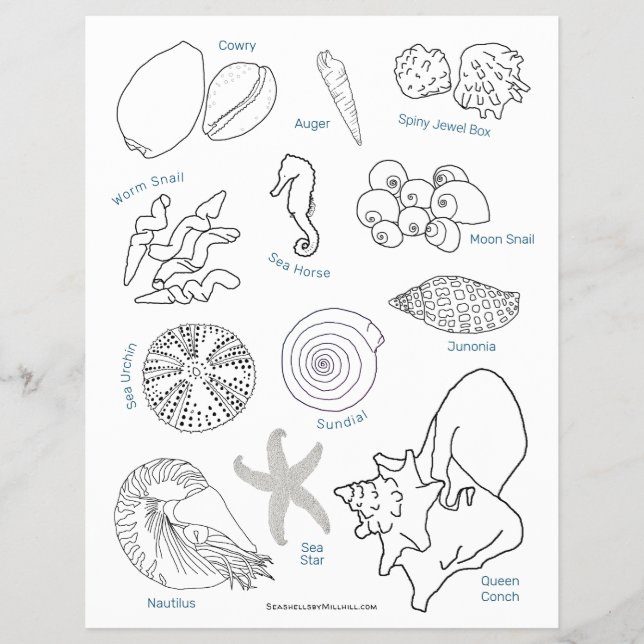 Färgsida för Sea Life Seashell ID-kalkylblad Reklamblad (Framsidan)