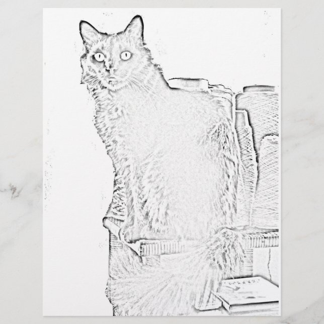 Färgsida - Katt med spolar av garn (Framsida)