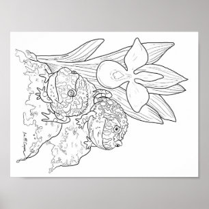 Färgsidan för Ornate Horned Frogs Poster