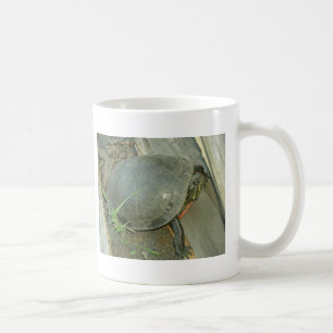 Färgsköldpadda (Chrysemys picta) Kaffemugg