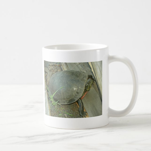 Färgsköldpadda (Chrysemys picta) Kaffemugg (Höger)