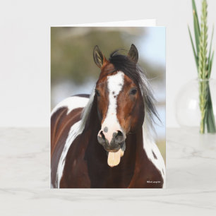 Färgstallion med Tunga-utgång Kort