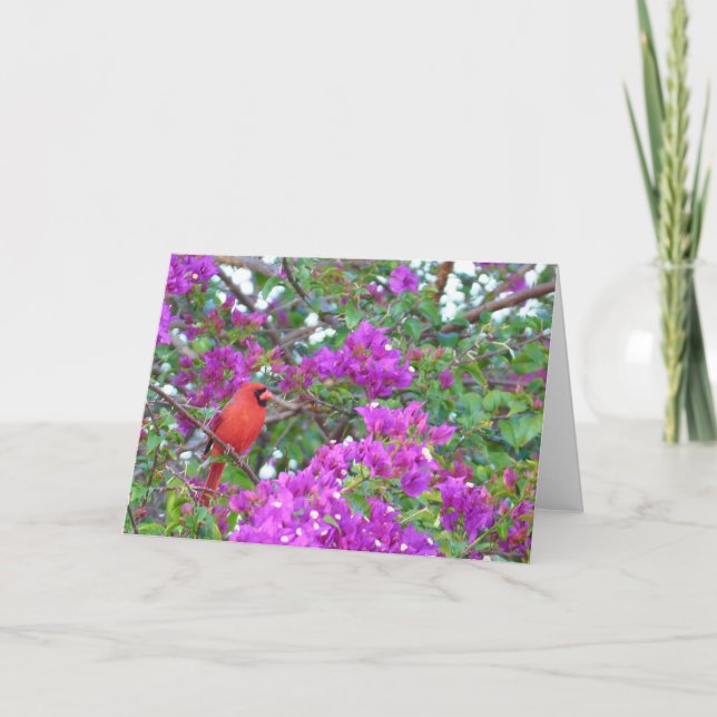 Färgstänkkort Kort (Framsida)