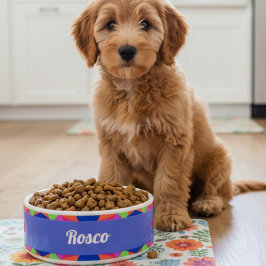 Färgstark blå retro Geometric Ceramic Pet Bowl